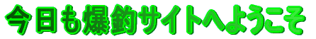 ���������ރT�C�g�ւ悤����